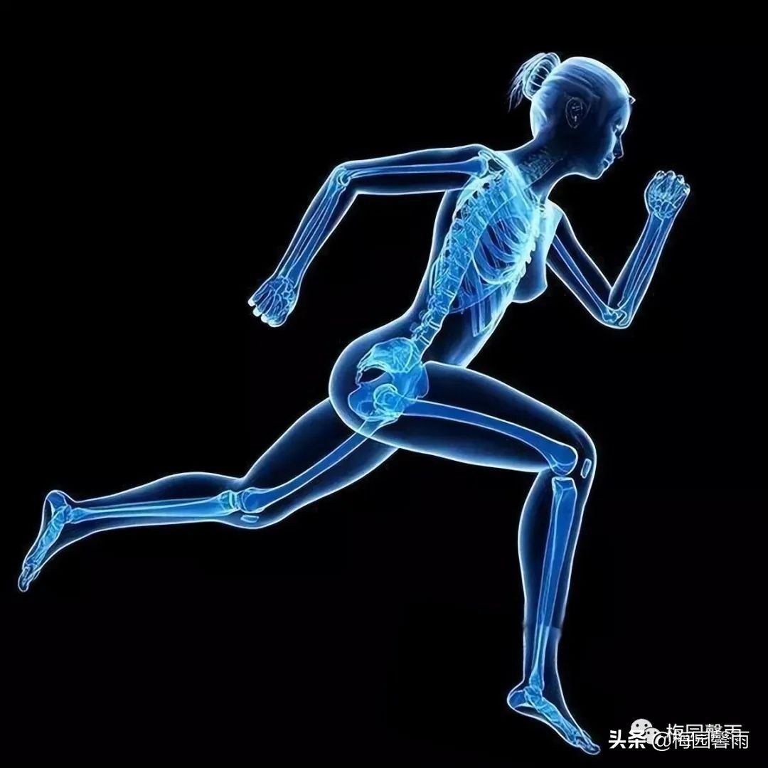 怎样壮骨最快最有效,好身体怎么养