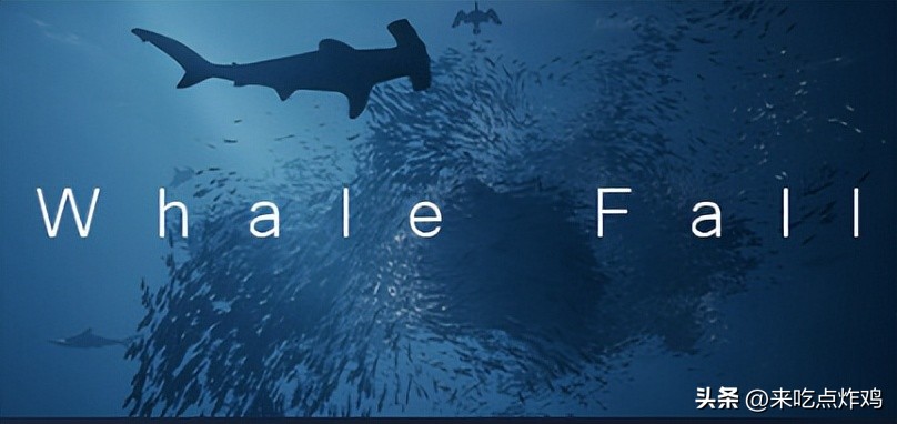 游戏资讯2023,每周更新的游戏资讯