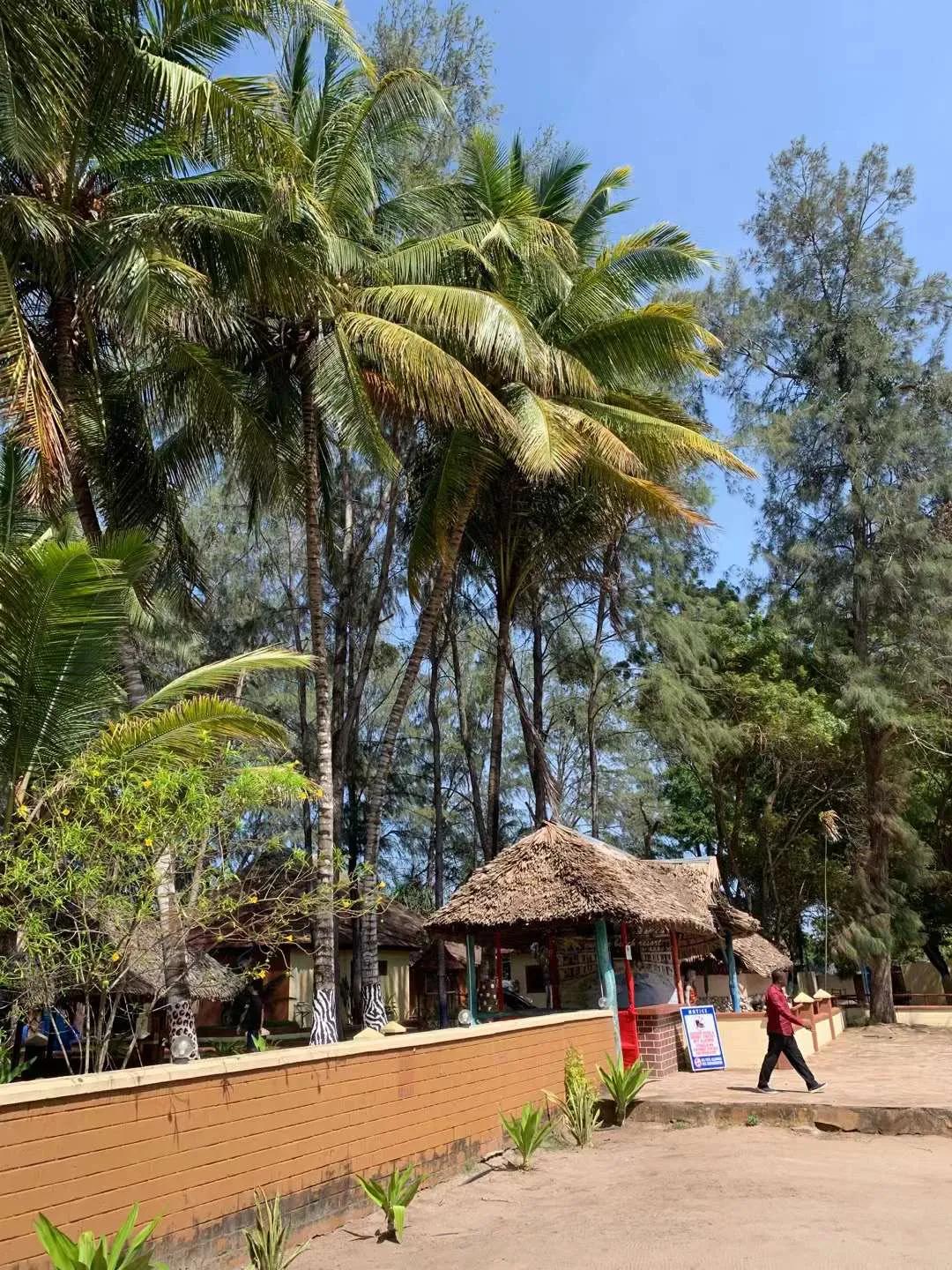 普通人在非洲适合做什么工作?薪资待遇又是多少?