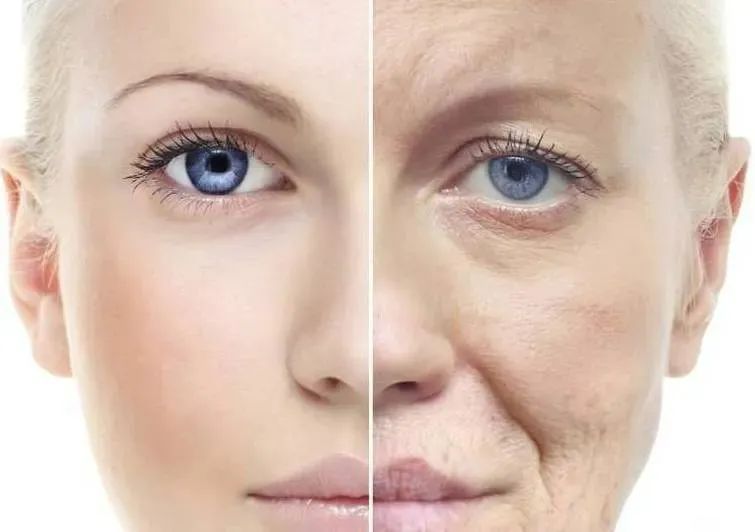 淘米水让白发变黑发吗,淘米水洗发水真的能让白发变黑吗