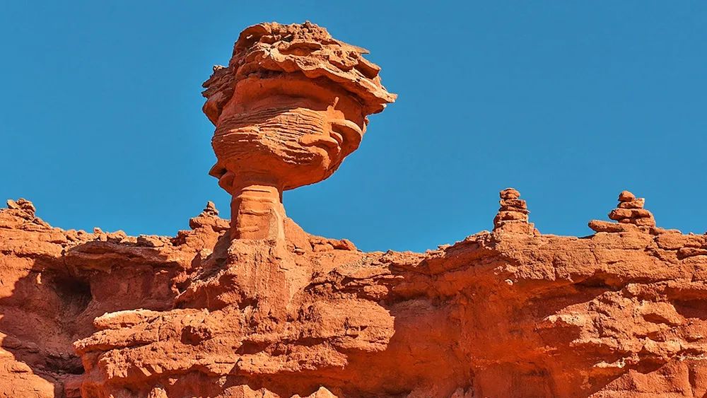 全世界仅存三处！一年只美21天！这场“黄金盛宴”，只因它而起