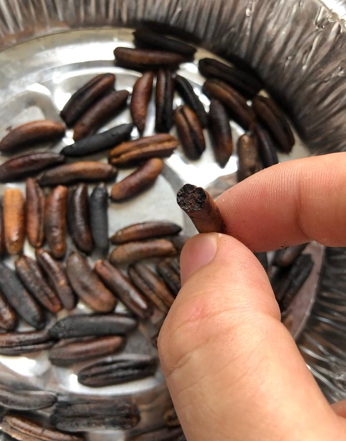 迪拜文玩,迪拜的文玩