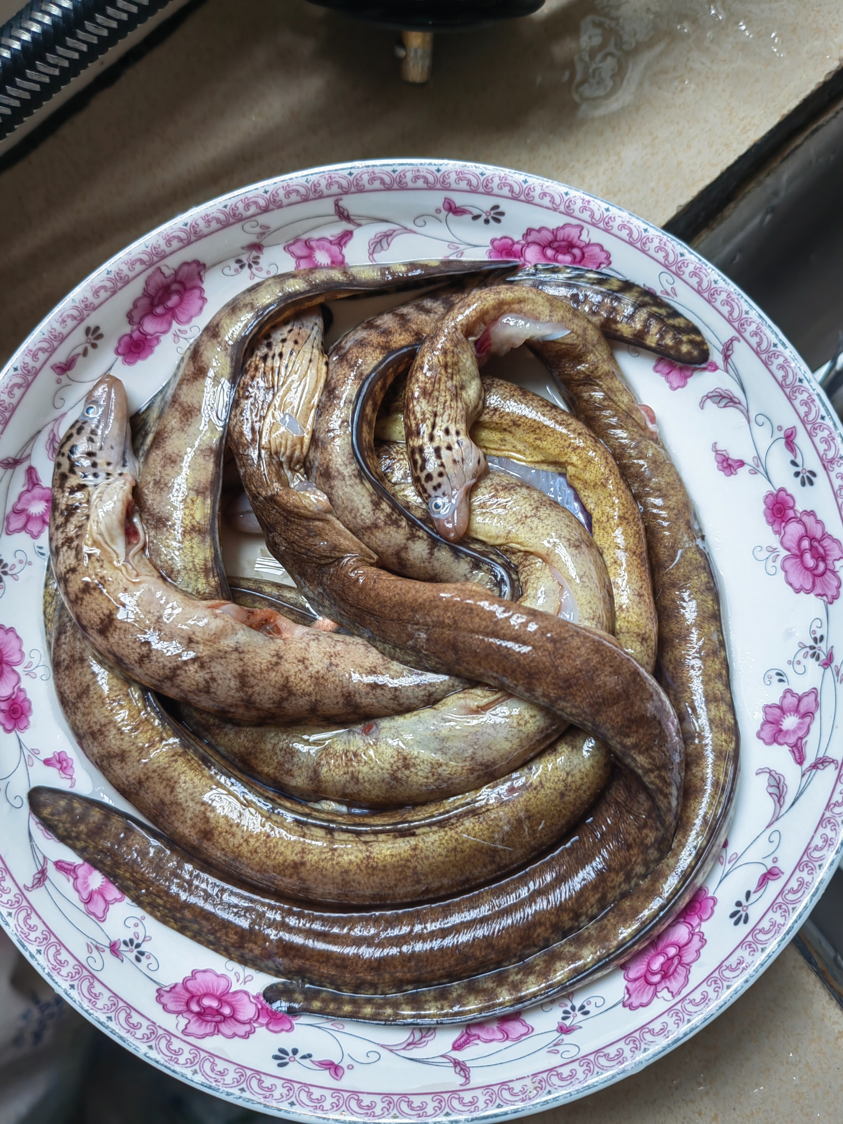 海钓三门岛,惠东三门岛海钓