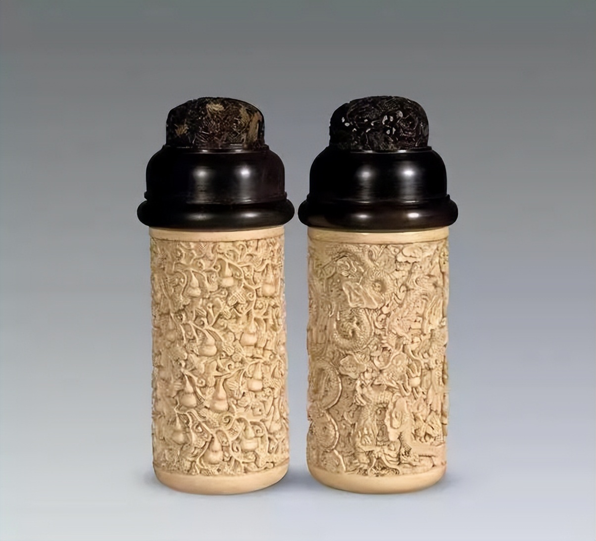 养猫养狗都养不活,养狗养猫养蜘蛛