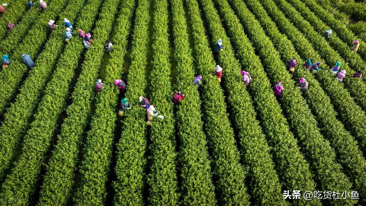 镇江美食必买,镇江美食特产介绍