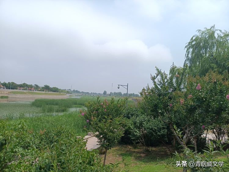 描写清风蝉鸣荷香湖边的古诗词,描写初夏荷塘的古诗词