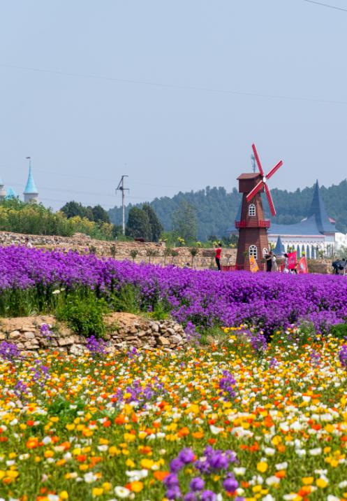 济南近郊旅游专线,济南开通的几条旅游线公交不错