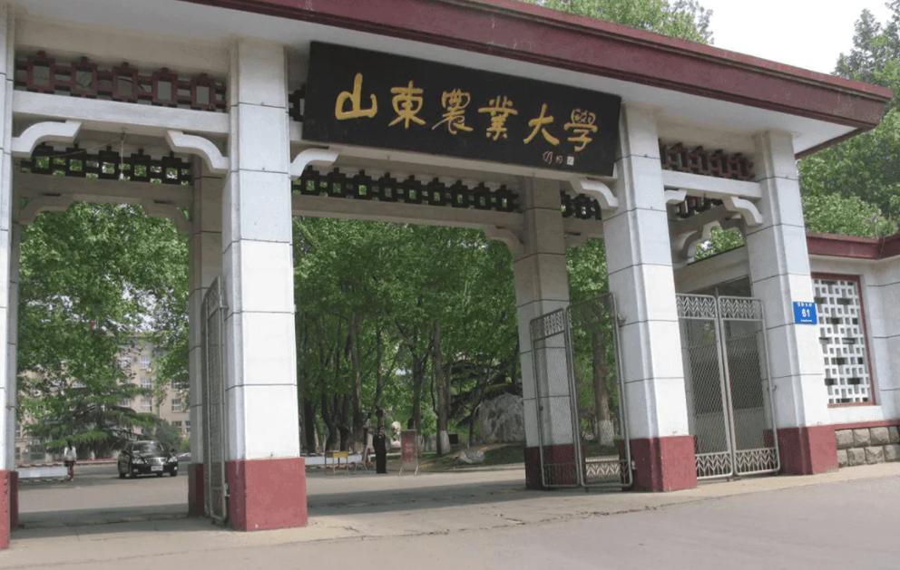 山东大学最新排名一览表,山东大学中国海大