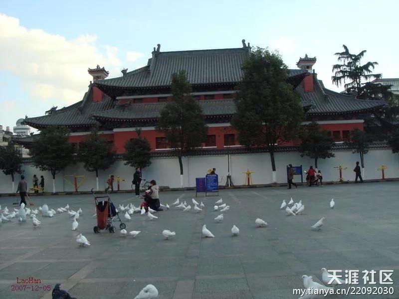 跟随老韩走遍中国,老韩带你逛云南