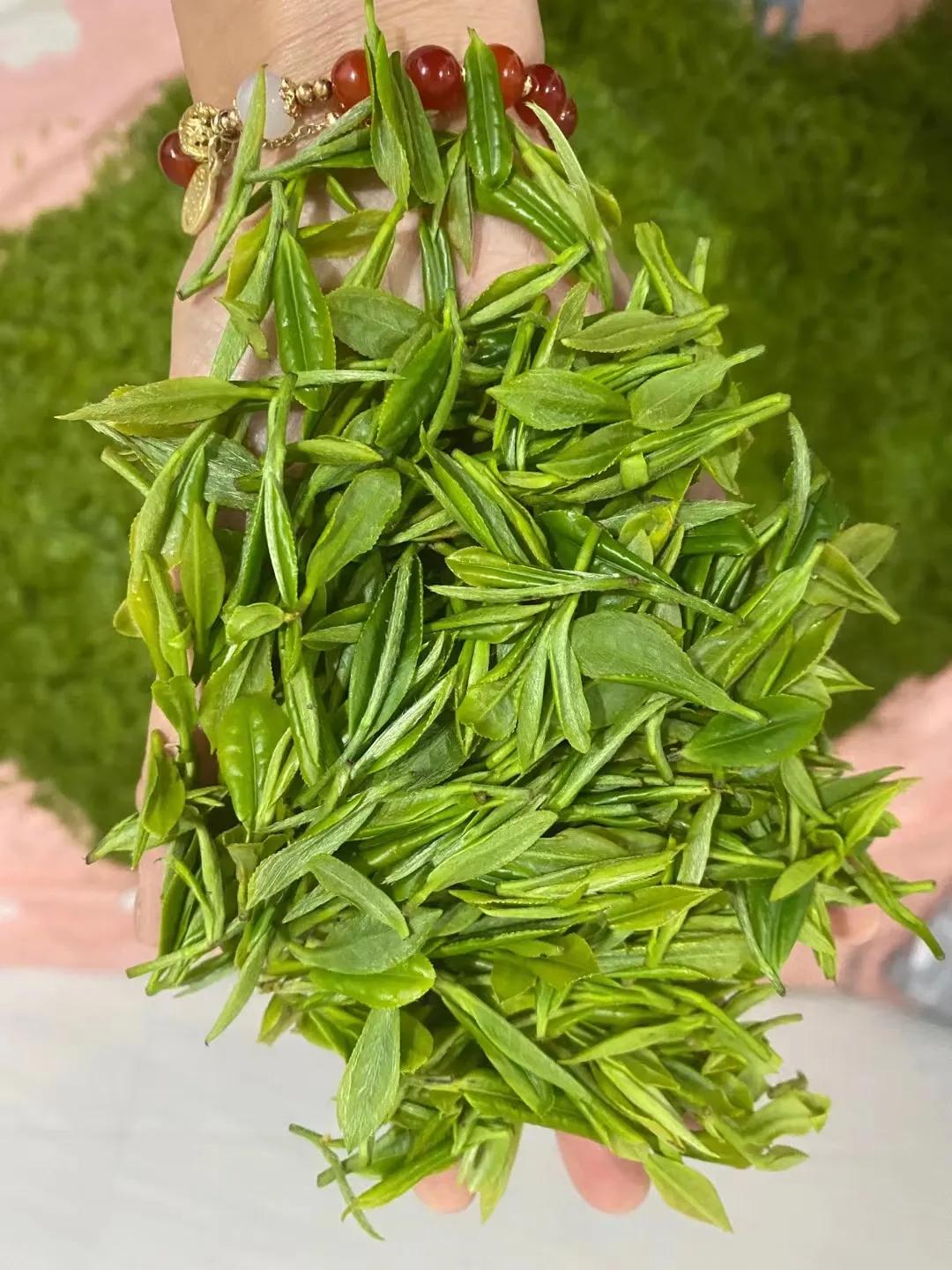 黄山毛峰明前茶雨前茶谷雨茶区别,绿茶是明前茶鲜还是谷雨茶鲜