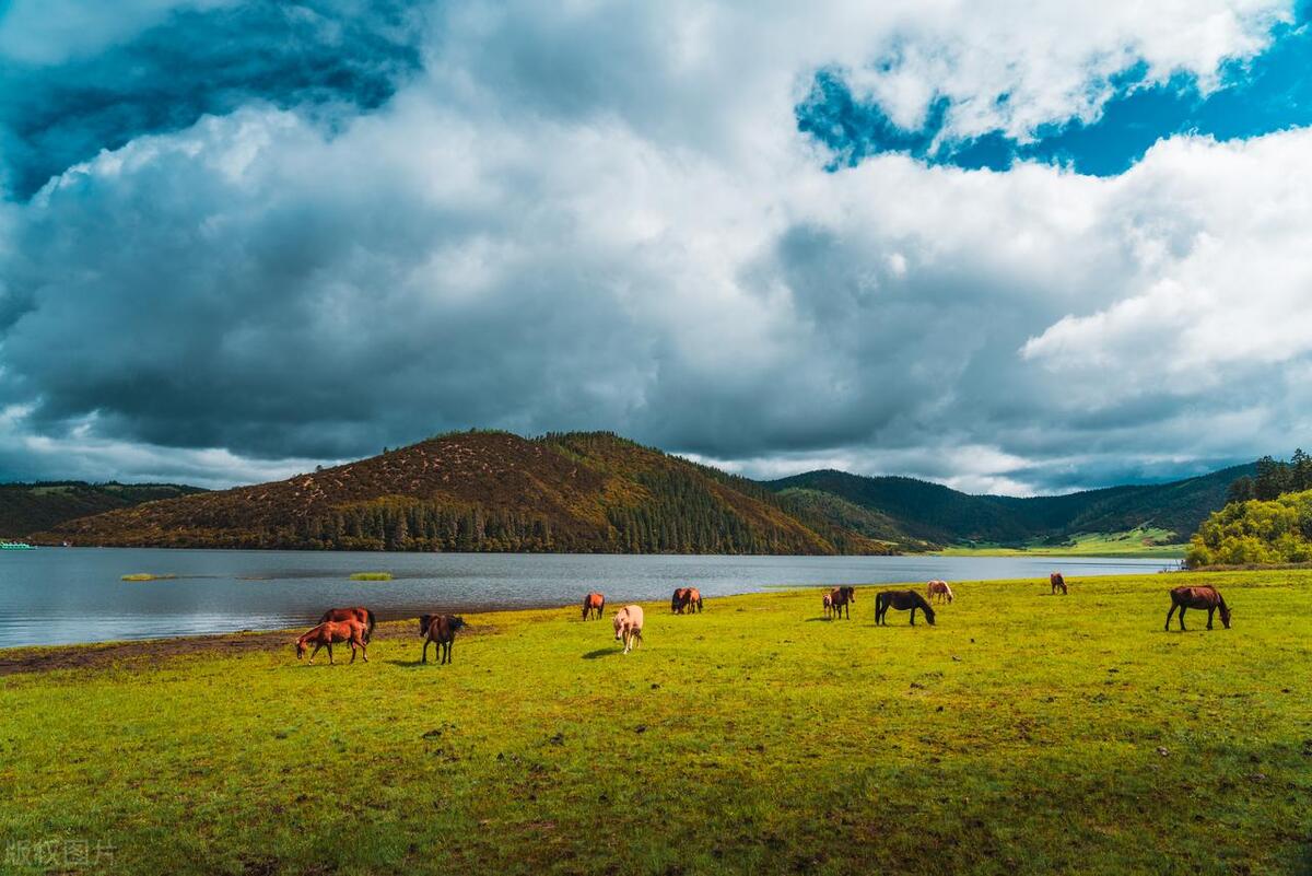 云南十大最坑景点排名,云南十大最值得去的景点