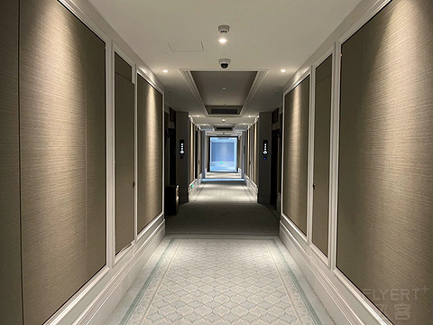 鍒濆涔嬫梾榛勯噾娴峰哺,鍒濆涔嬫梾