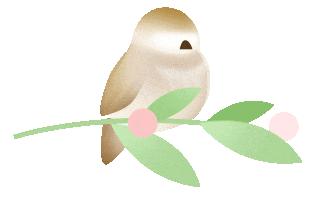 成都二手房挂牌价与成交价差距,成都最新二手房指导价楼盘一览表