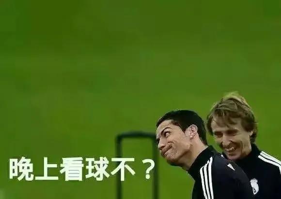 聚焦卡塔尔世界杯共同呐喊,聚焦2022卡塔尔