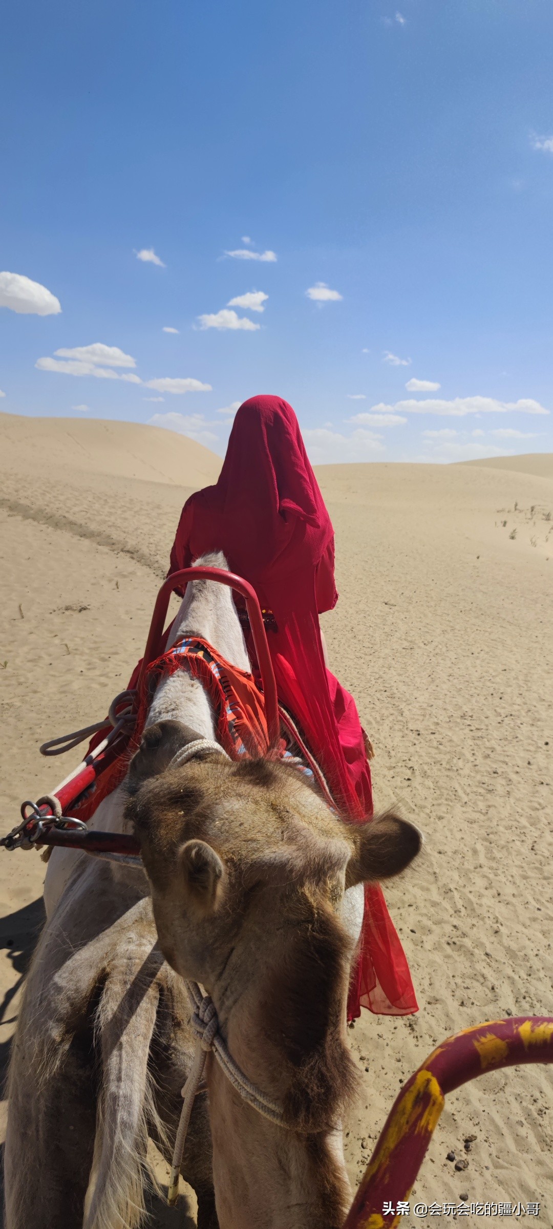 中老年专列旅游,老年人火车专列旅游