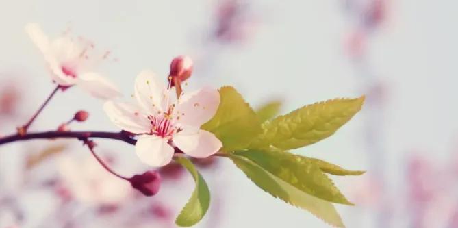 表示努力拼搏很霸气的句子,大格局女人努力挣钱的句子霸气