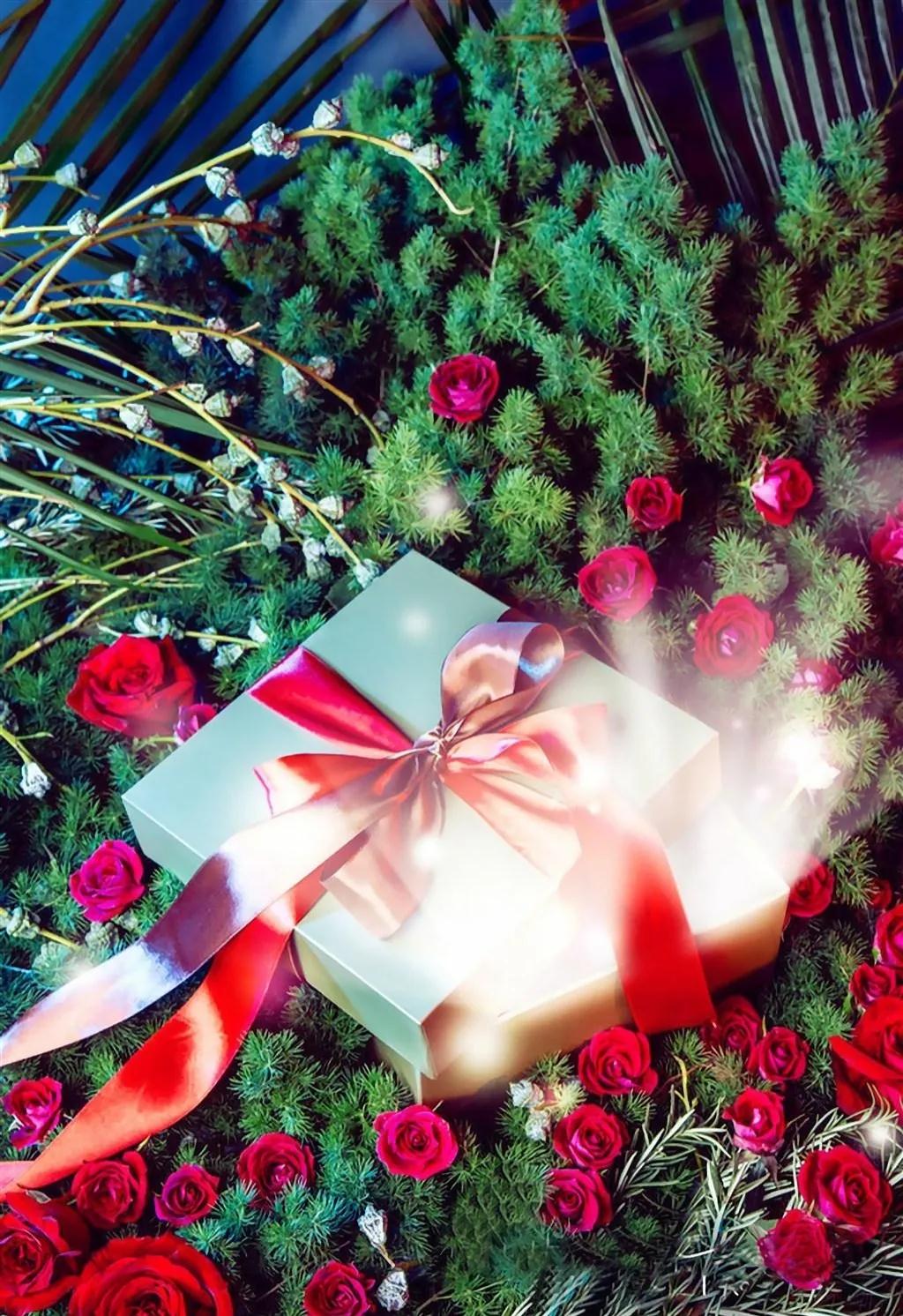 玫瑰花ins高级质感背景图,玫瑰花背景图高清图