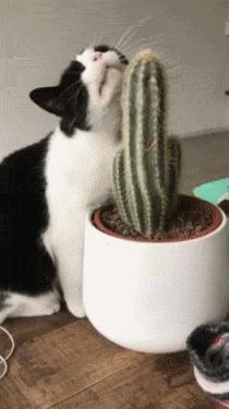 网恋奔现大型翻车纯属尴尬,网恋奔现兄弟们这算翻车吗