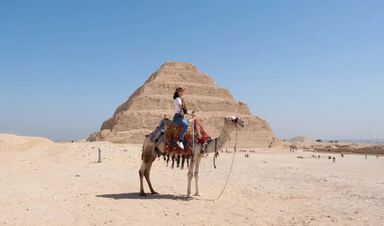 刘芳菲埃及之旅,主持人刘芳菲成名史