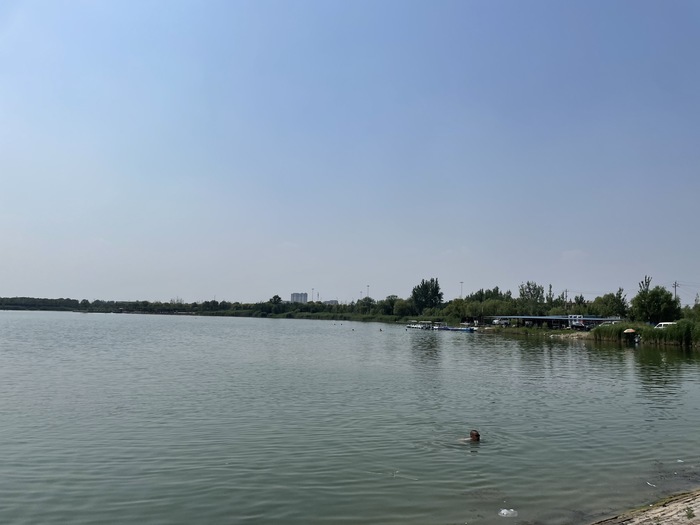 新黄河采访报道,新黄河记者现场报道