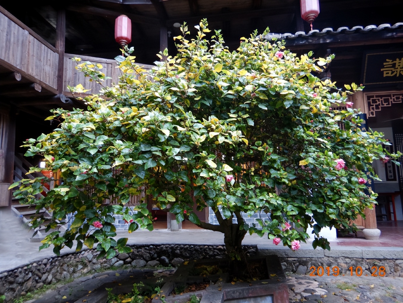 走进世界文化遗产之一福建永定客家土楼