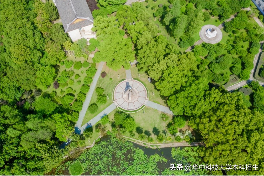 侵袭性真菌感染死亡率,全球侵袭性真菌感染