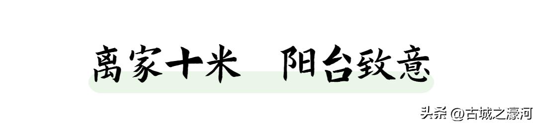 金色维也纳这个楼盘好吗,江城逸品昨天消息