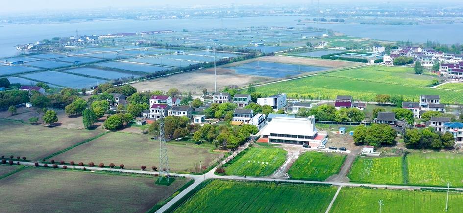 乡村振兴100讲全集,100个经典乡村振兴案例