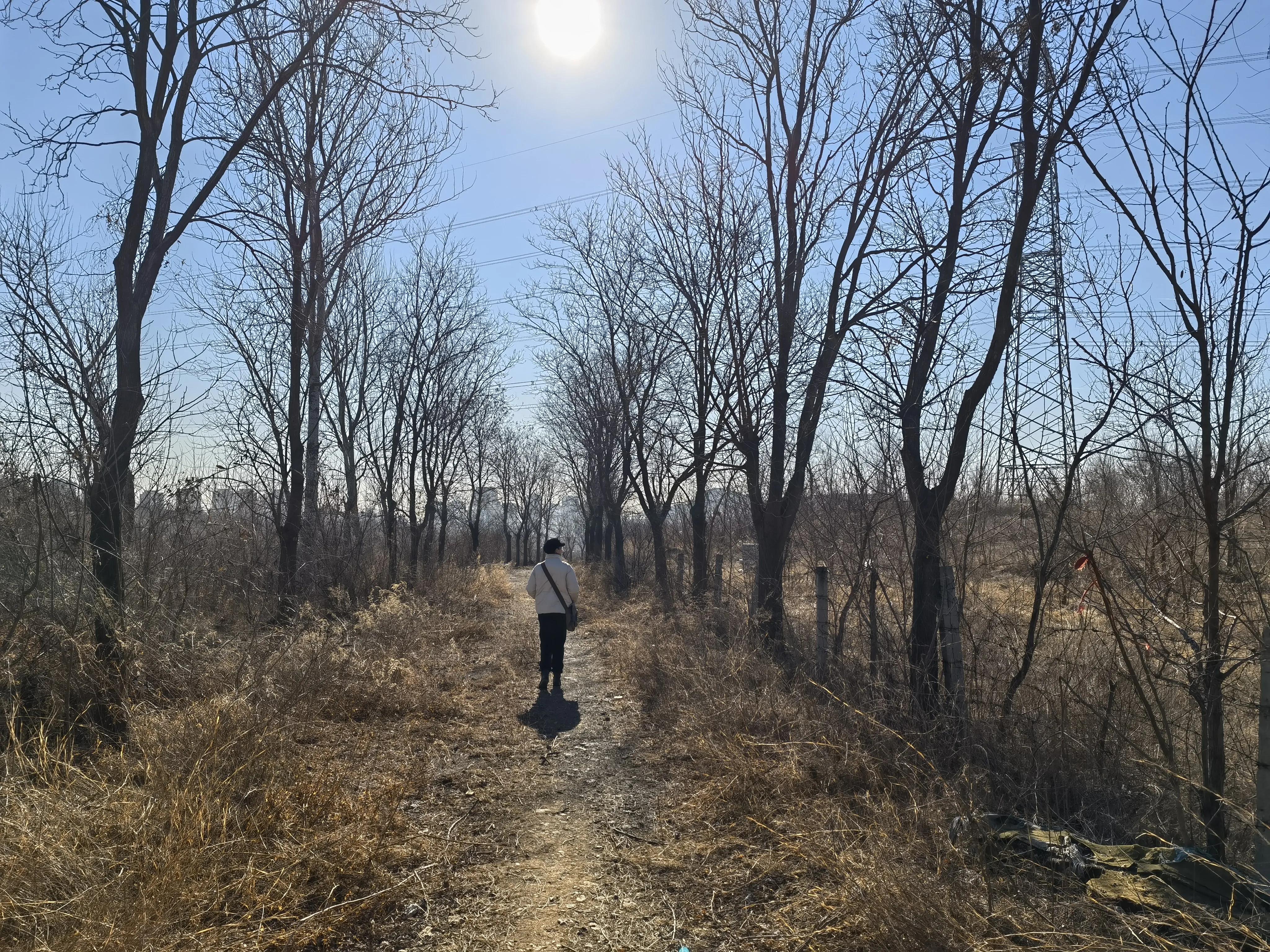 大连长城遗址,在大连看长城