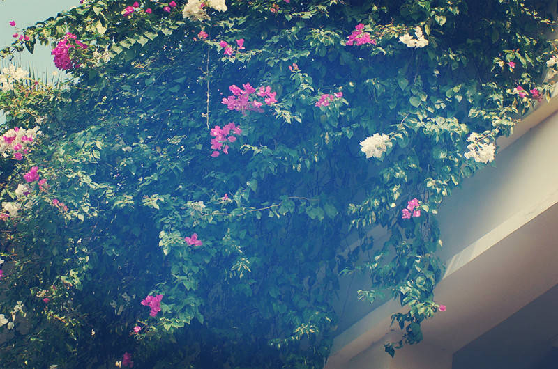 非211但实力超强的5所大学,非211实力不错的师范大学