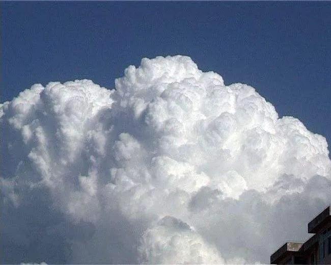 世事本无常聚散无定数珍惜眼前人,每日文摘世事总无常聚散终是缘