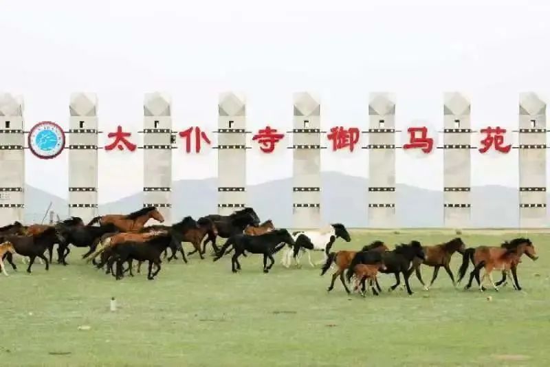 来打卡！锡林郭勒十大网红打卡地