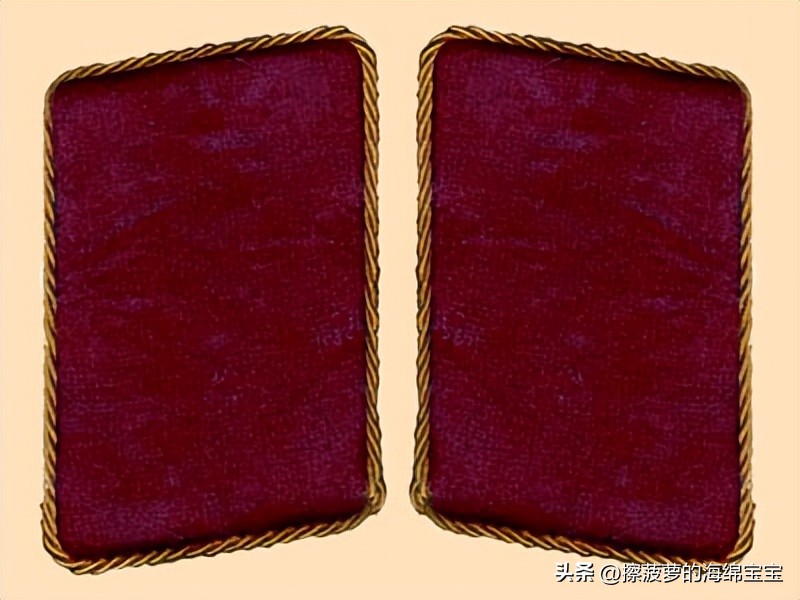 纳粹冲锋队用的什么枪,纳粹德军军衔图解