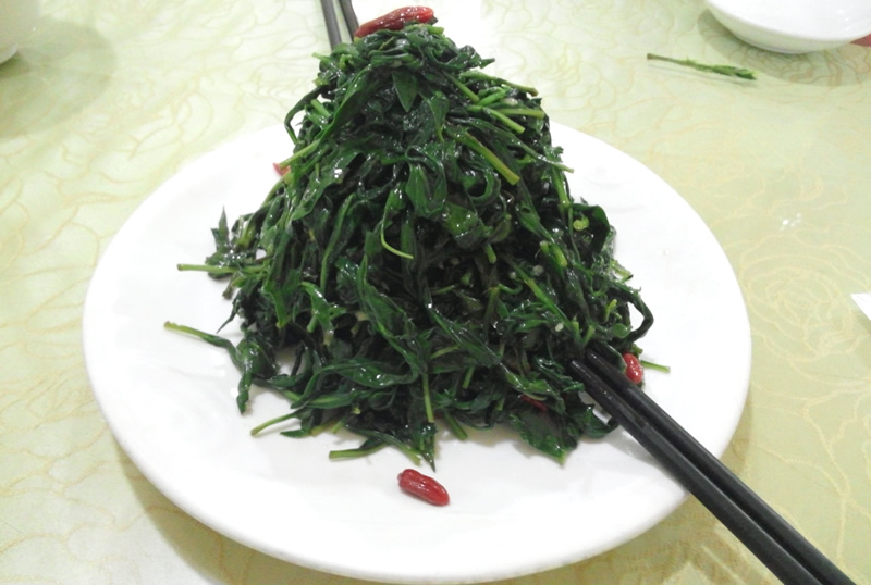 宁夏银川旅游攻略美食,宁夏银川旅游攻略