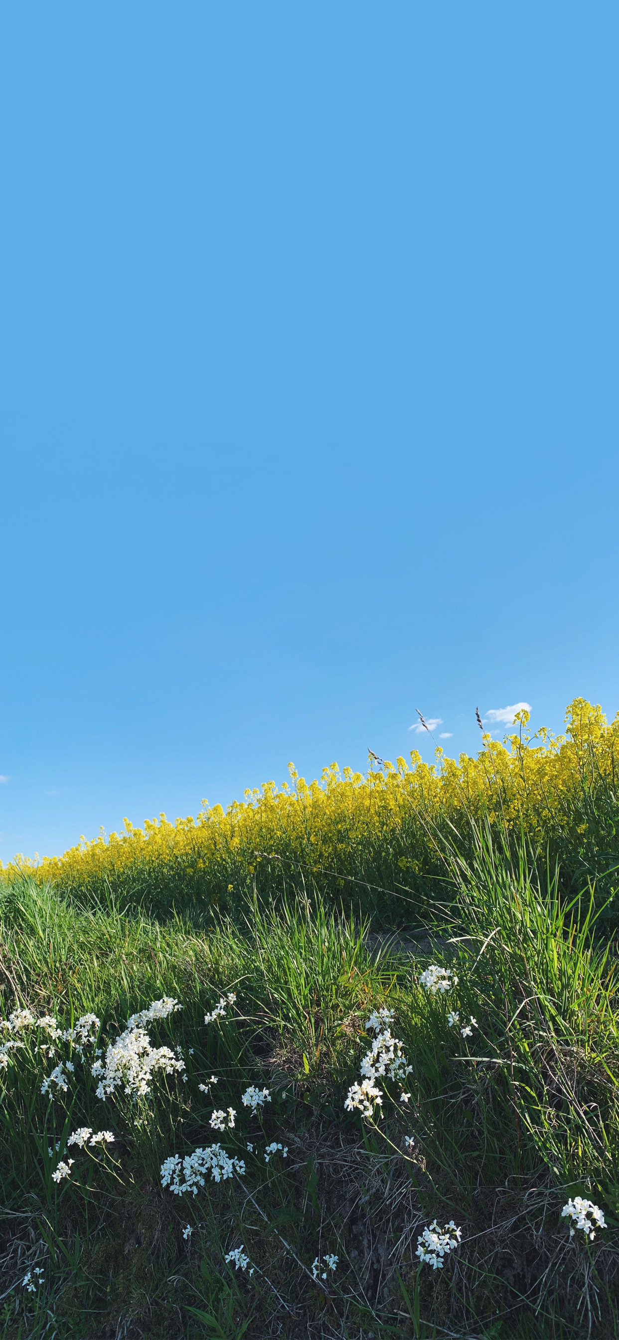 iphone13promax手机壁纸推荐,iphone13promax壁纸动态