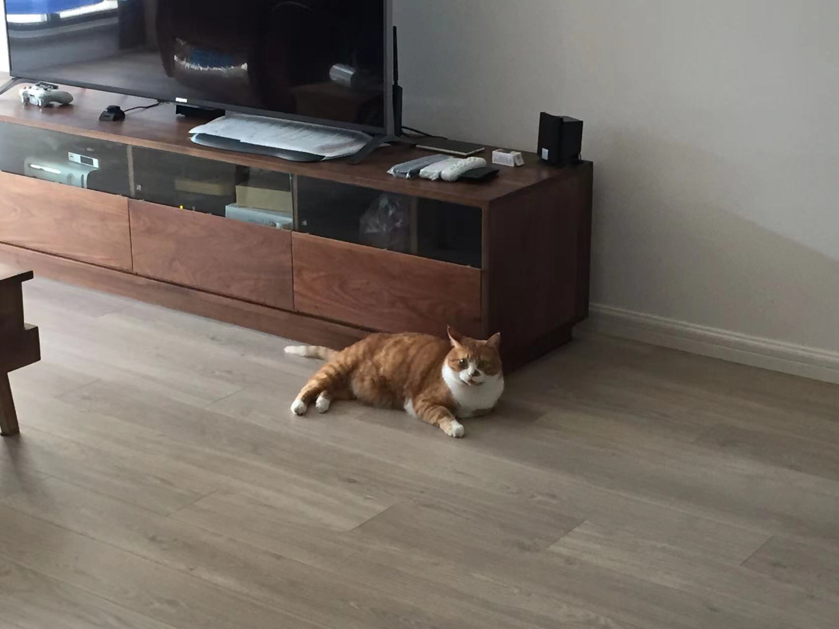 是特殊的缘分，才让“猪齐齐的好朋友”完成了这套7.1.4家庭影院