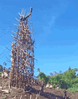 18张有趣的图,33张有趣的照片展示出奇妙的世界