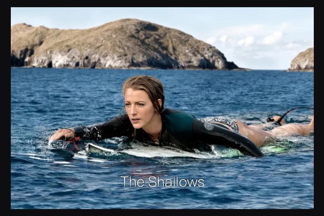 欧美明星全集,布蕾克莱弗利演过的电影