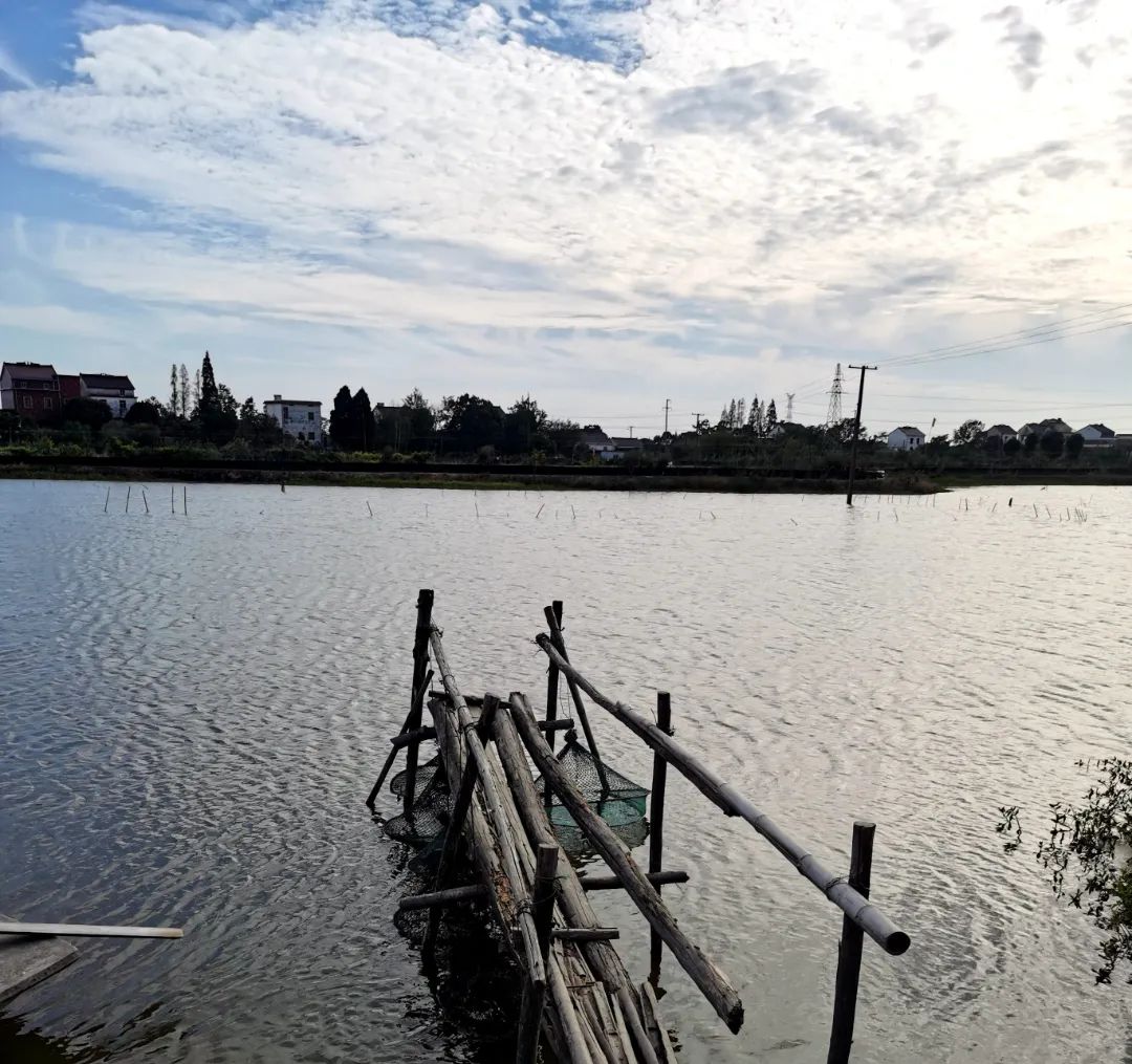 幼蟹养殖成活率,蟹的养殖技术有哪些