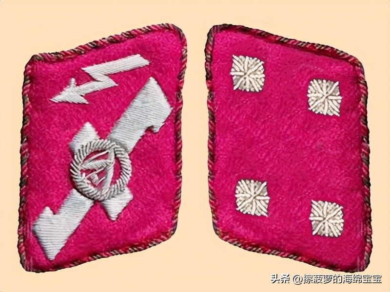 纳粹冲锋队用的什么枪,纳粹德军军衔图解