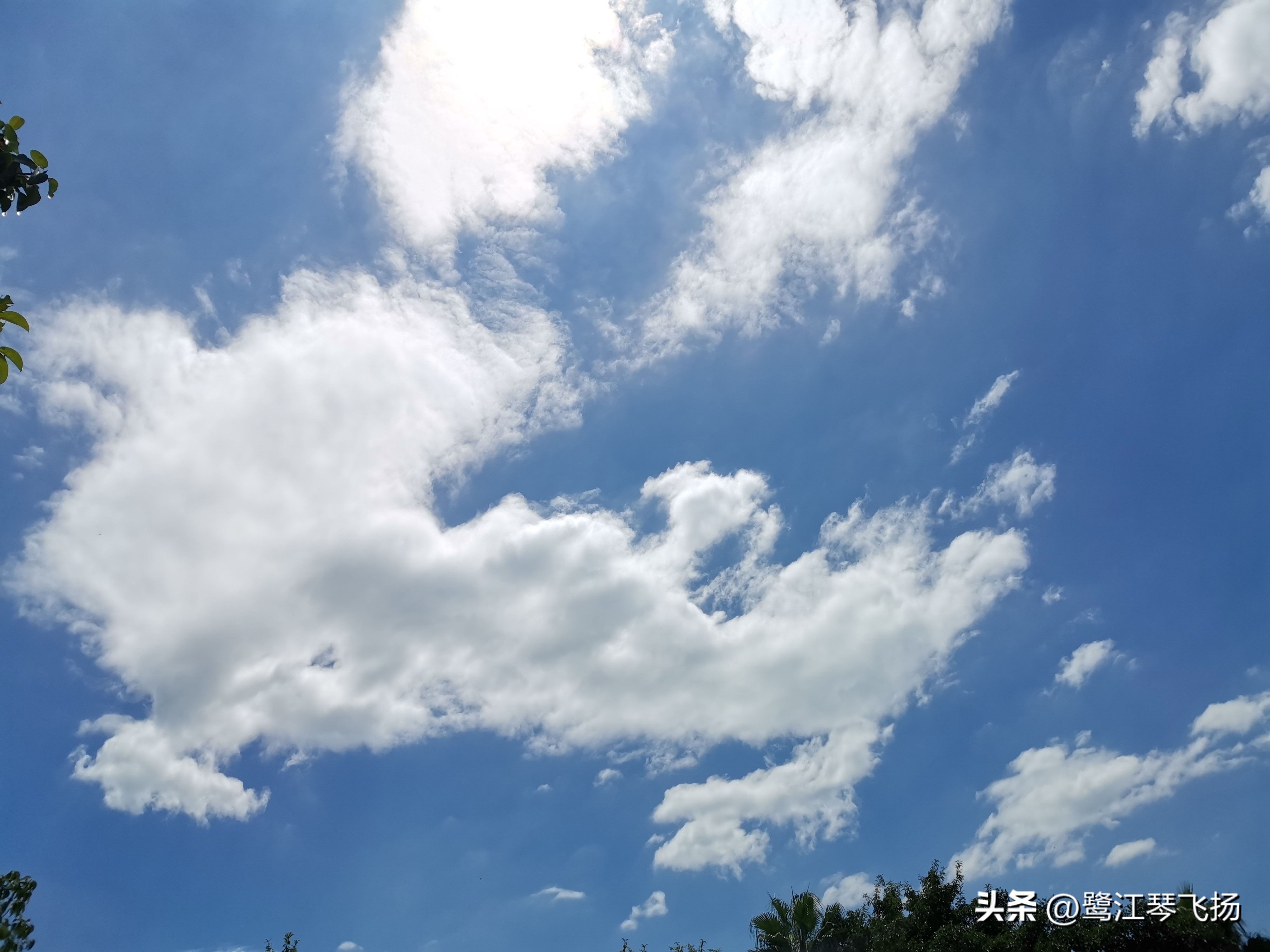 厦门最近桑拿天气,阴雨天厦门好去处
