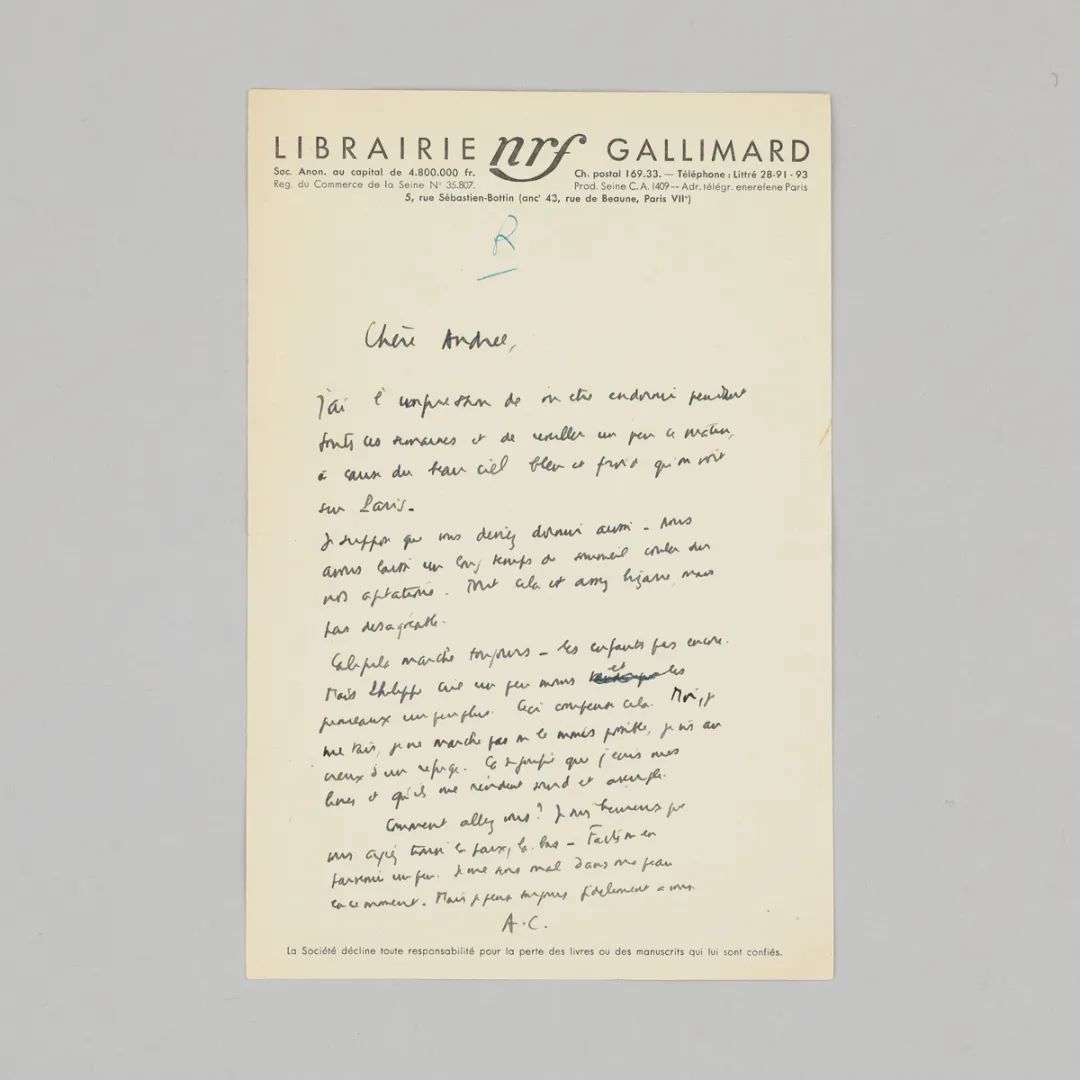 十二月拍|拥抱还是背离，都是在同一个世界里的选择