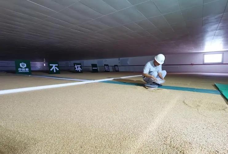 美国粮食给中国带来的需求,为什么美国宁愿赔钱也要出口粮食