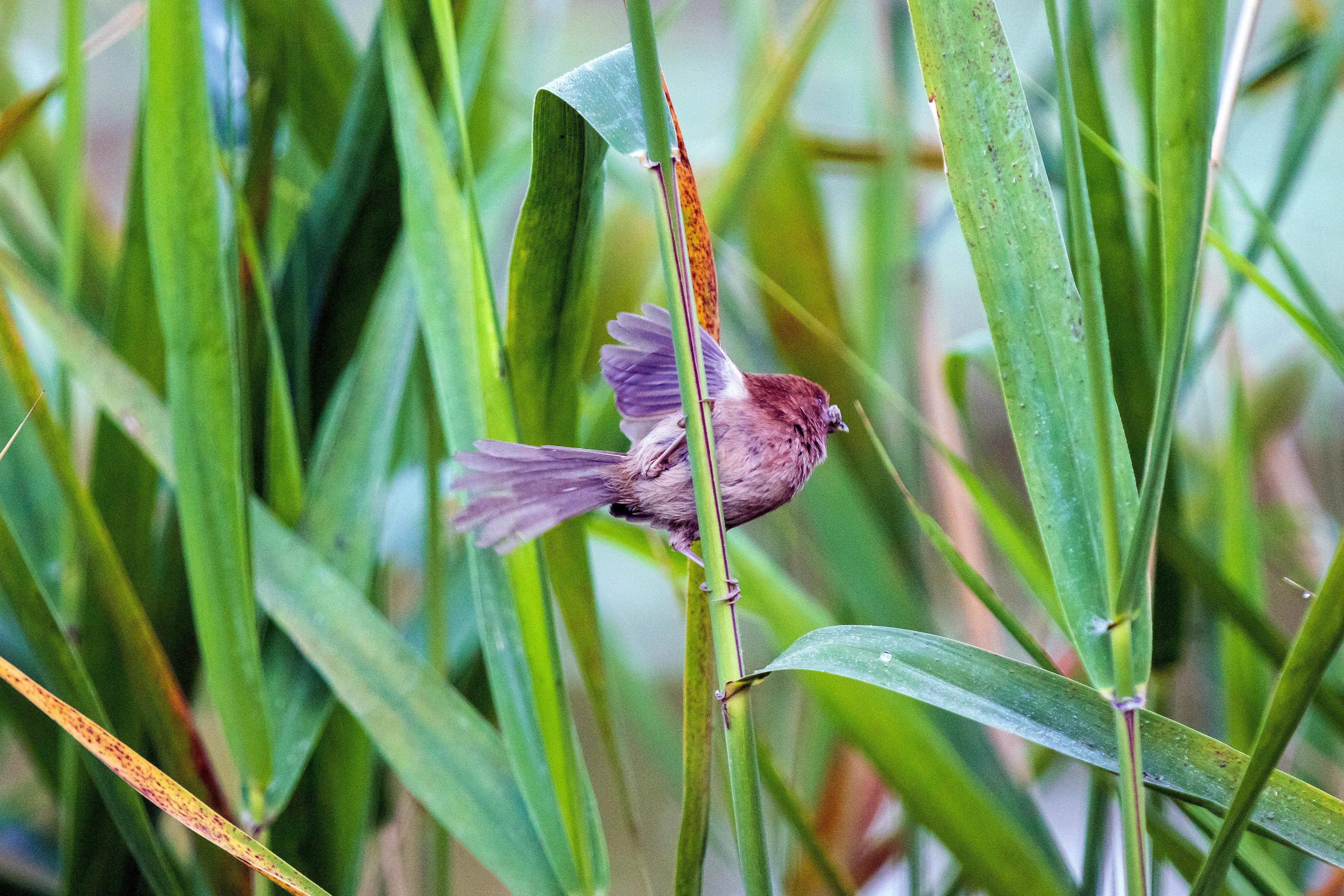 上海市嘉定区安亭国际汽车城,上海嘉定安亭国际汽车城