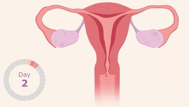 来月经7天变3天正常吗,月经周期25天来3天正常吗