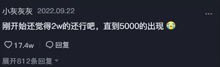 王甜心卖画赚百万，遭美院教授怒批转行，羊毛月一语道破背后真相