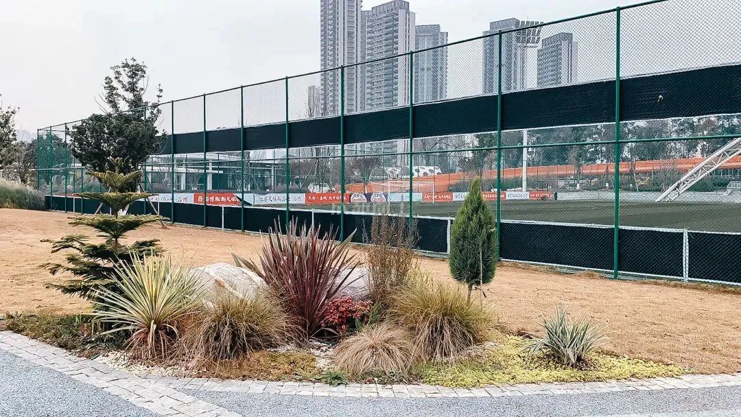 成都成华体育公园,成都成华区体育公园