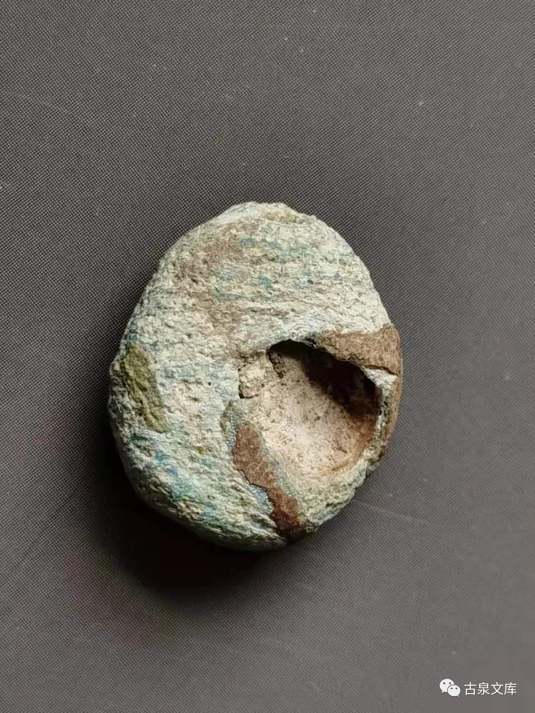 天然贝币真品价格,原始贝币发展史