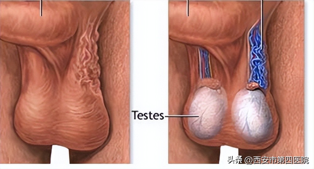 健康中国行动一周年,健康中国行动牵手千家万户