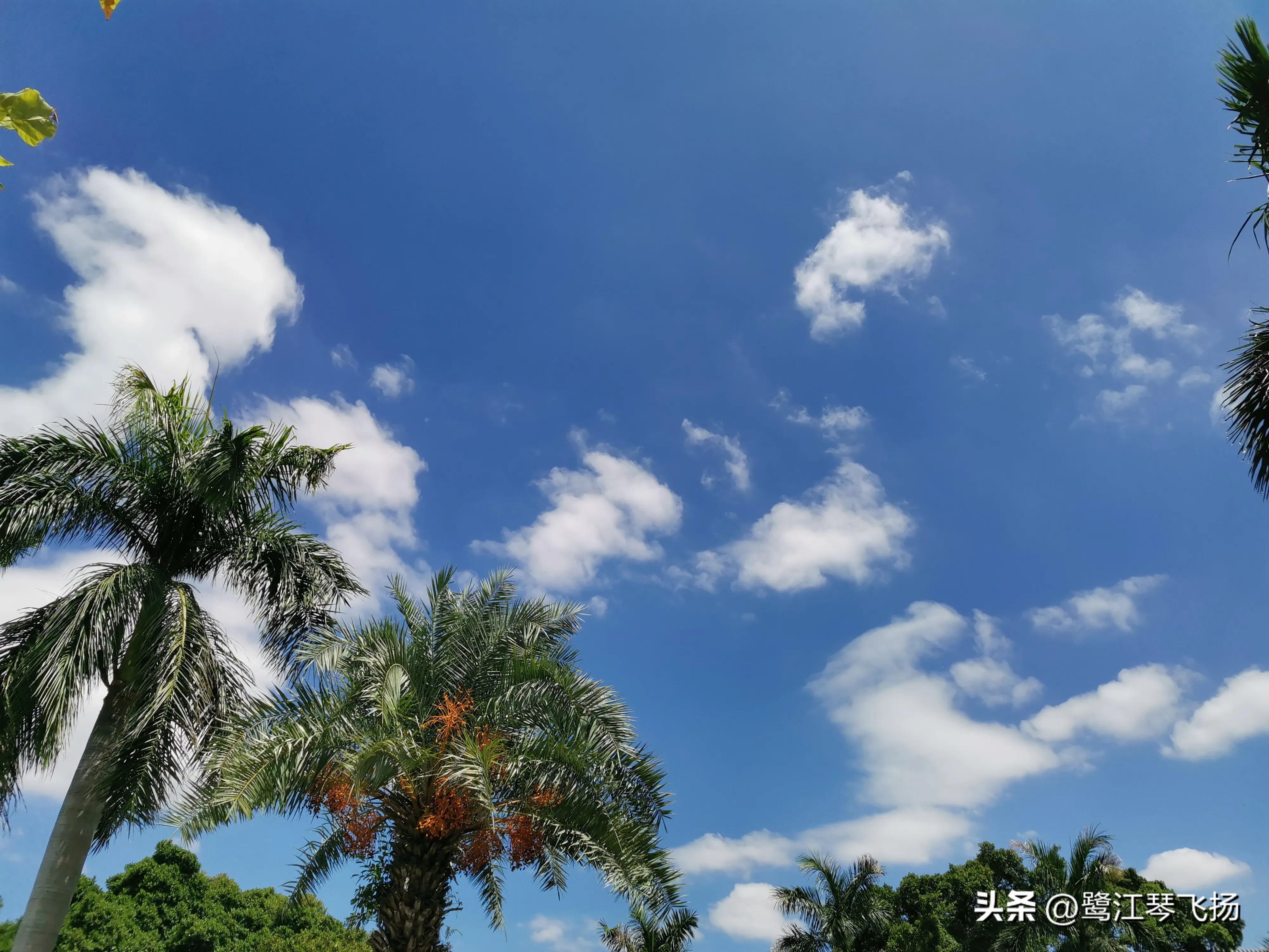 厦门最近桑拿天气,阴雨天厦门好去处